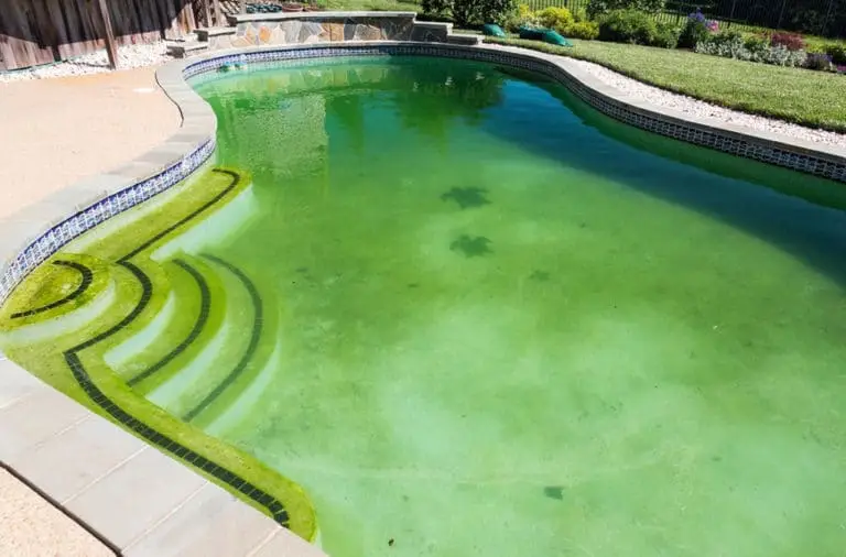 Remove pool Algae. Image of a pool which has algae.