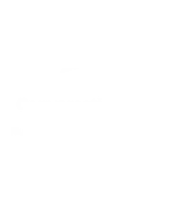 980