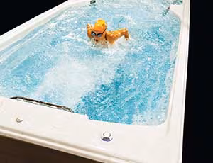 Close-up of the SwimLife Swim Expert’s advanced SwimBoost pump system designed for powerful, even water flow.